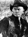 Brynner Yul Magnificent Seven The z1 film star poster A4 Photo Print