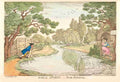 Buck Hunting 1811 Cartoon Joke 001 Vintage A4 Photo Print