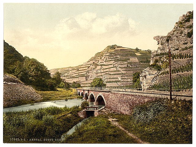Bunte Kuh II Ahrthal the Rhine Vintage A4 Photo Print