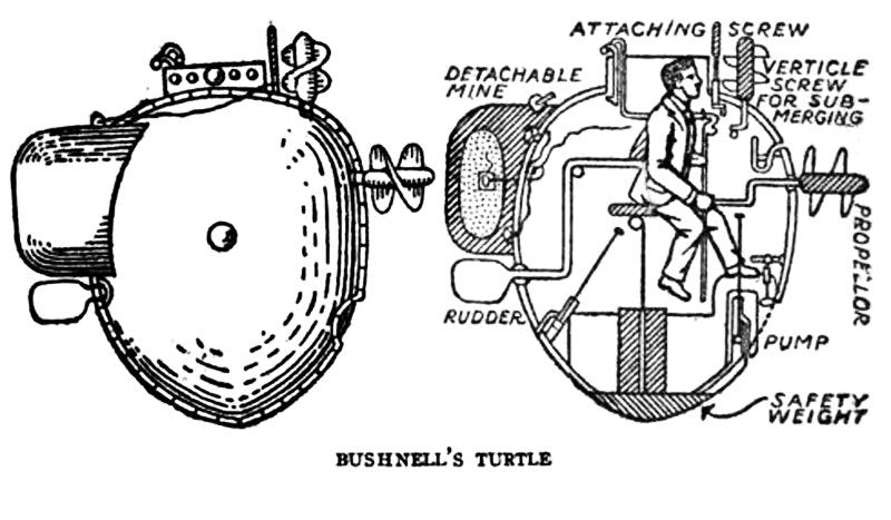 Bushnell Turtle Military A4 Photo Print