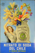 BusiNitrato Vintage Advert A4 Photo Print