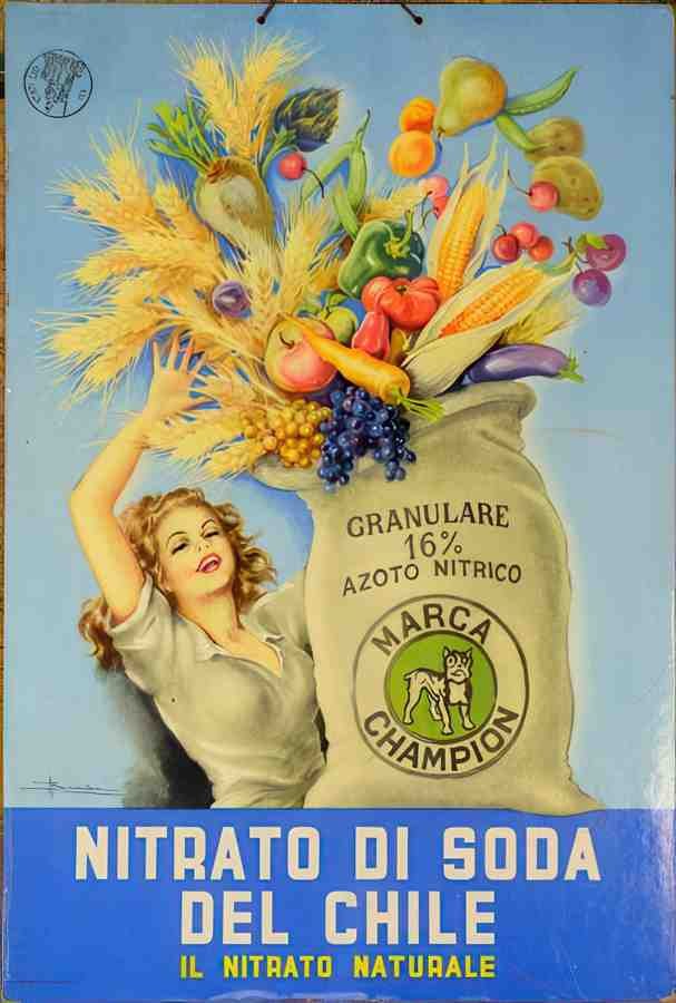 BusiNitrato Vintage Advert A4 Photo Print