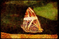 Butterflies 052034 Mosaic A4 Limited Edition Watercolour Print