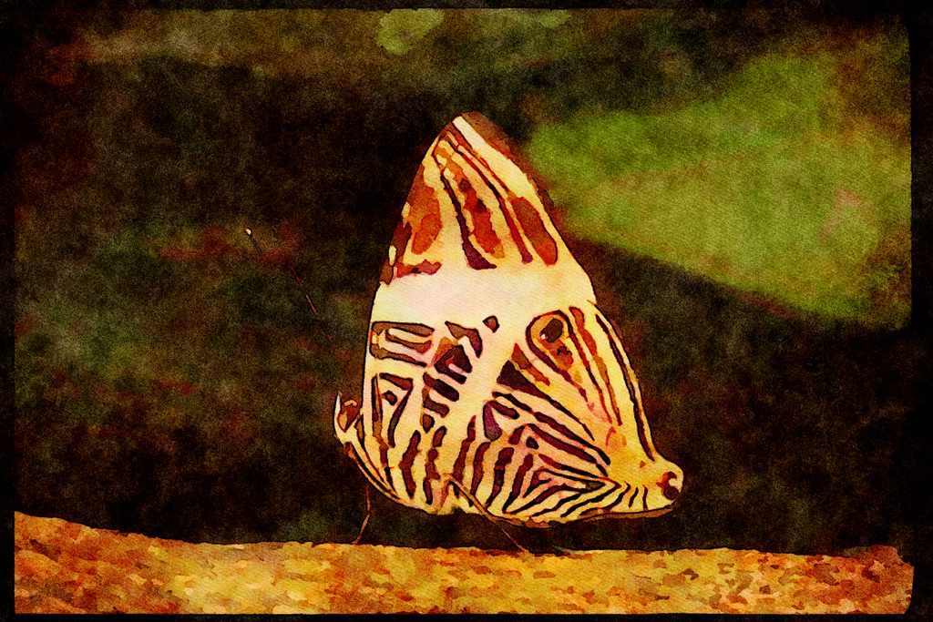 Butterflies 052034 Mosaic A4 Limited Edition Watercolour Print
