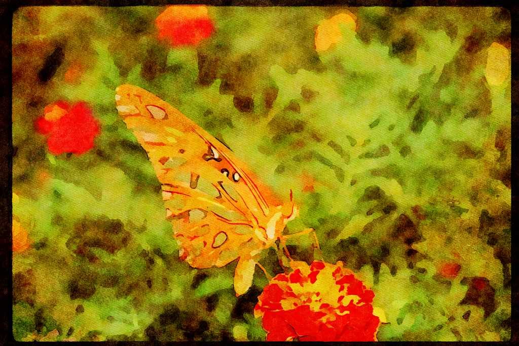 Butterflies 052041 Gulf Fritillary A4 Limited Edition Watercolour Print