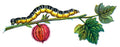 Butterfly Abraxas grossulariata caterpillar A4 Photo Print