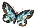 Butterfly Abraxas marginata A4 Photo Print