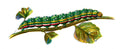 Butterfly Calocampa vetusta caterpillar A4 Photo Print