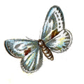 Butterfly Cilix glaucata A4 Photo Print