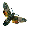 Butterfly Macroglossum stellatarum A4 Photo Print