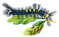 Butterfly Orgyia antiqua caterpillar male A4 Photo Print
