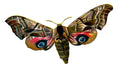 Butterfly Smerinthus ocellata A4 Photo Print