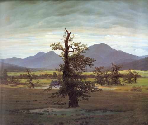 C D Friedrich Landscape With Solitary Tree A4 Photo Print