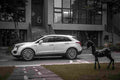 CADILLAC XT5 5730 47 Car A4 Photo Print