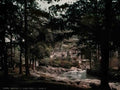Caernarfonshire Betws y Coed Pont y Pair3 Vintage A4 Photo Print