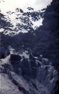 Caernarfonshire Betwys y Coed Swallow Falls Picture Vintage A4 Photo Print