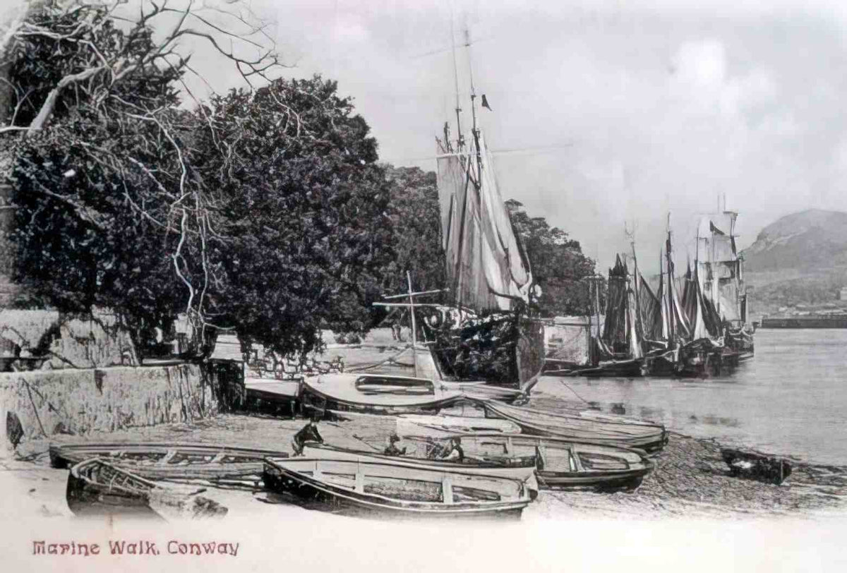 Caernarfonshire Conwy Marine Walk 12080090 Vintage A4 Photo Print