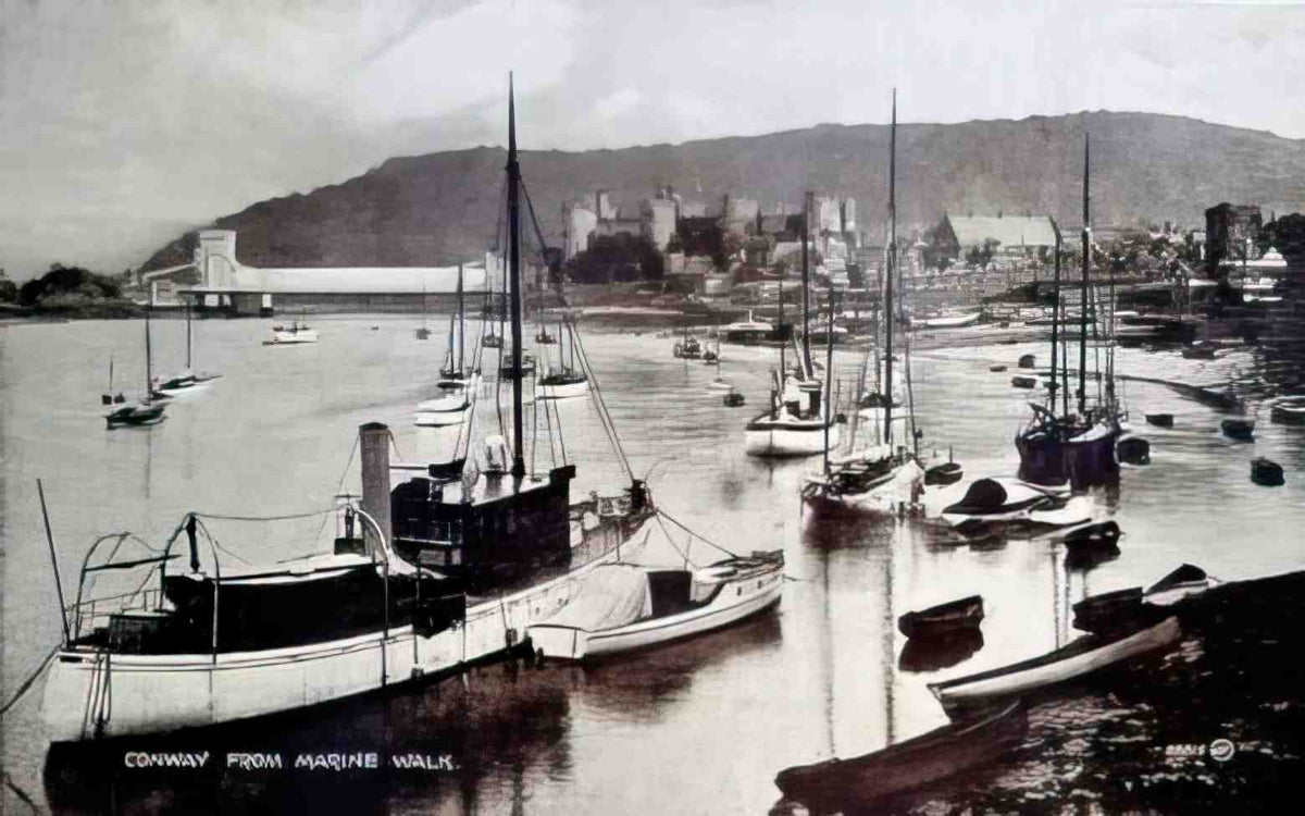Caernarfonshire Conwy from Marine Walk 12080068 Vintage A4 Photo Print