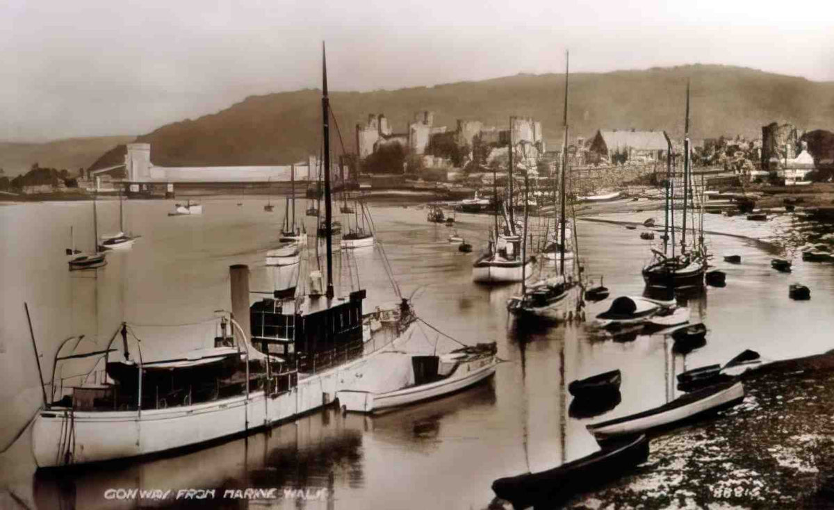 Caernarfonshire Conwy from Marine Walk 12080112 Vintage A4 Photo Print
