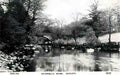 Caernarfonshire Criccieth Rhydybenllig Bridge Vintage A4 Photo Print