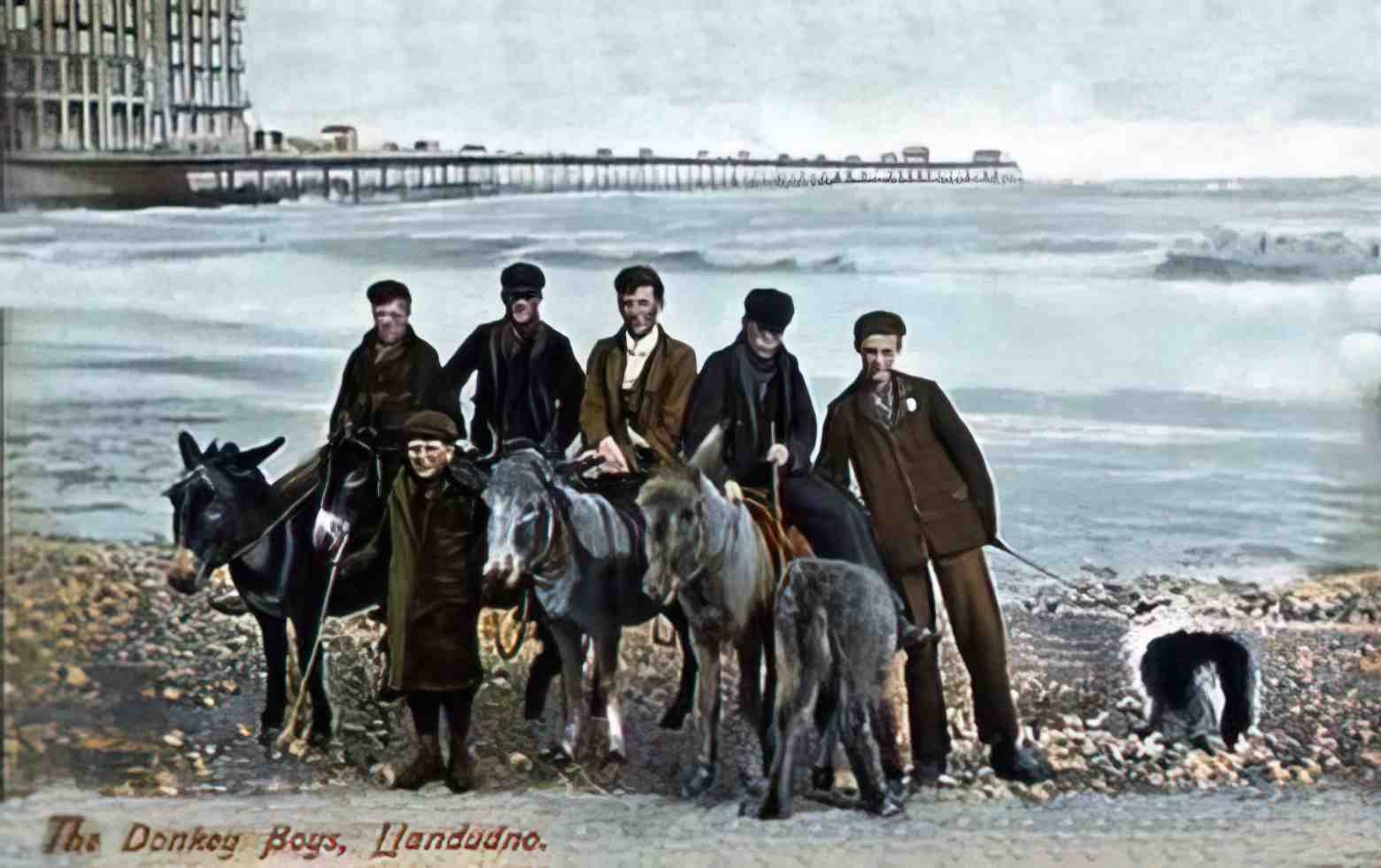 Caernarfonshire Llandudno Donkeys Vintage A4 Photo Print