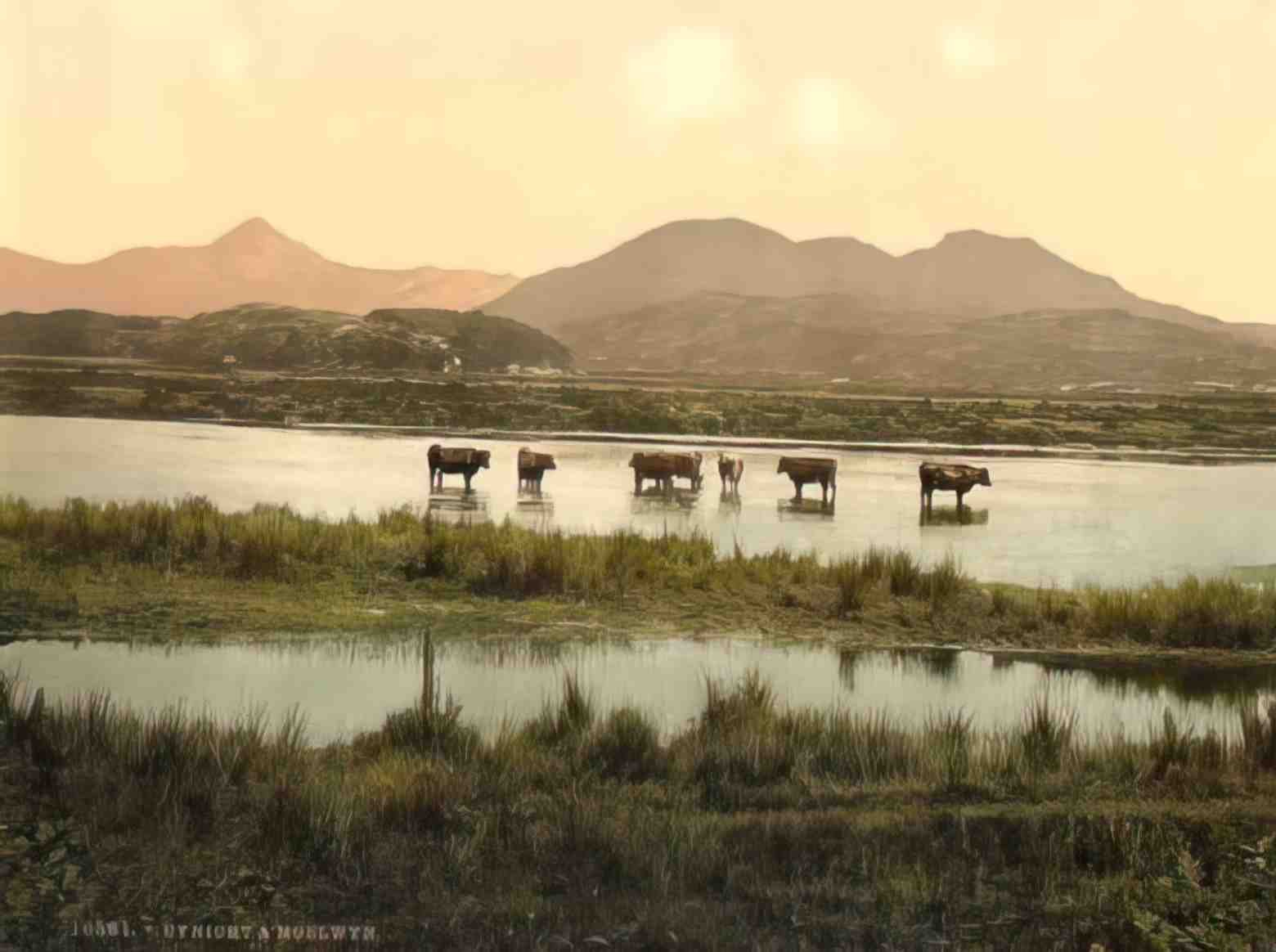 Caernarfonshire Snowdonia Cynicht and Moelwyn Vintage A4 Photo Print