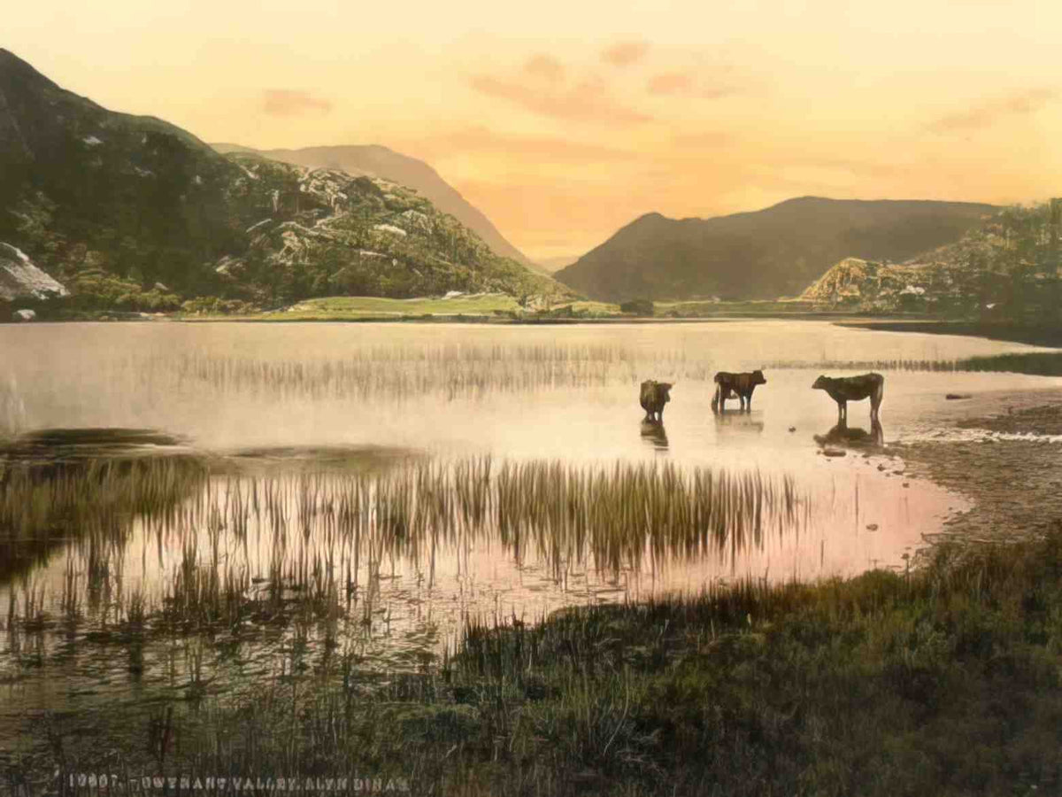 Caernarfonshire Snowdonia Llyn Dinas Gwynant Valley Vintage A4 Photo Print