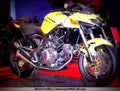 Cagiva V Raptor 650 2003 1 motorbike A4 Photo Print