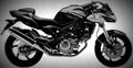 Cagiva V Raptor 650 2004 3 motorbike A4 Photo Print
