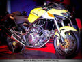 Cagiva V Raptor 650 2004 6 motorbike A4 Photo Print