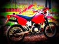 Cagiva W8 1998 6 motorbike A4 Photo Print