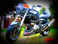 Cagiva Xtra Raptor 1000 2004 3 motorbike A4 Photo Print