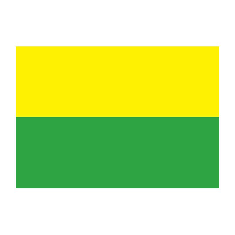 Caldas Dep Flag N4821 A4 Photo Print