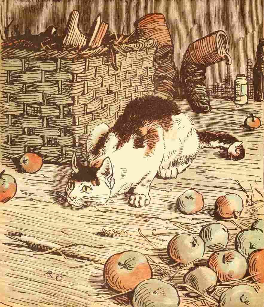 Caldecott Randolph 1890s Cat A4 Photo Print