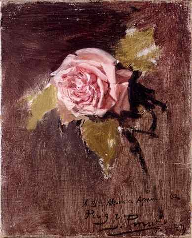 Camarlench Ignacio Pinazo Una rosa A4 Photo Print