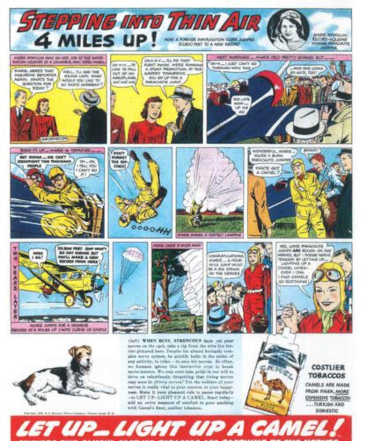 Camel Biplane Jump Vintage Retro Advert Poster A4 Photo Print