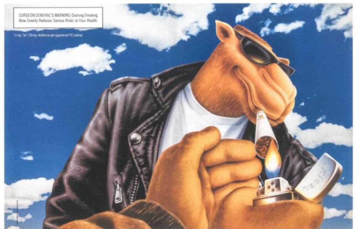 Camel Cigarette Warning Vintage Retro Advert Poster A4 Photo Print