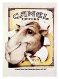 Camel Cigarettes A4 Photo Print