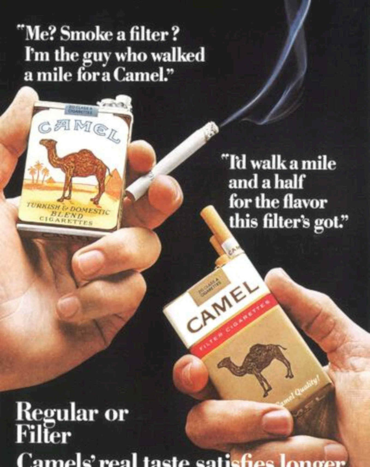 Camel Cigarettes Blend Vintage Retro Advert Poster A4 Photo Print