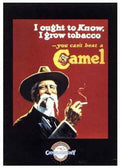 Camel I Ought to Know A Good Tobacco A4 Photo Print