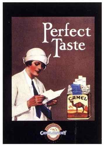 Camel Perfect Taste A4 Photo Print