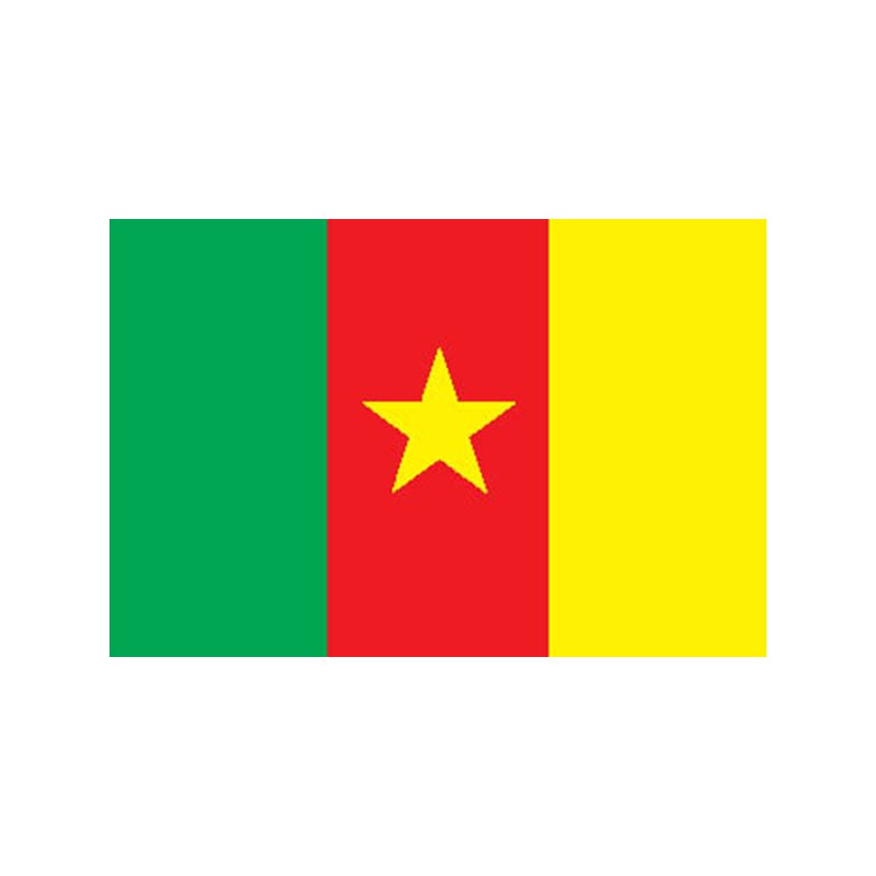 Cameroon Flag N1758 A4 Photo Print