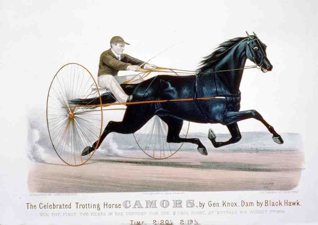 Camors Horse 001 Vintage A4 Photo Print