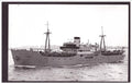 Campania Swedish Lloyd Built 1947 Steam ship A4 Photo Print