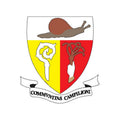 Campione Prov Coat Of Arms N4500 A4 Photo Print