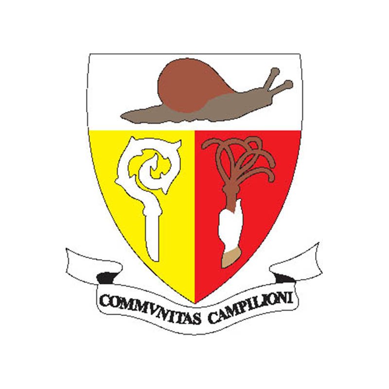 Campione Prov Coat Of Arms N4500 A4 Photo Print