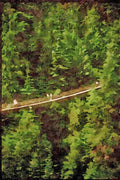 Canada 230009 Capillano Suspension Bridge, Vancouver A4 Limited Edition Watercolour Print