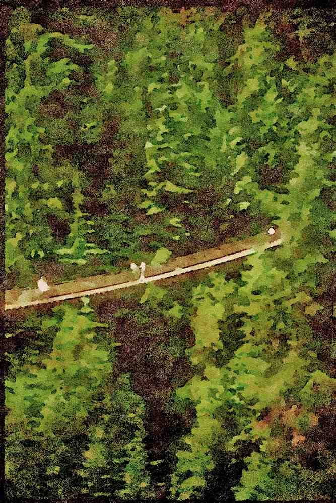 Canada 230009 Capillano Suspension Bridge, Vancouver A4 Limited Edition Watercolour Print