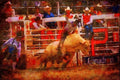 Canada 230012 Calgary Stampede Rodeo, Alberta A4 Limited Edition Watercolour Print