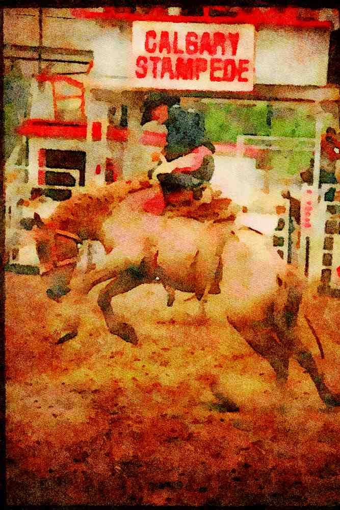 Canada 230022 Saddle Bronc Riding, Calgary Stampede, Alberta A4 Limited Edition Watercolour Print